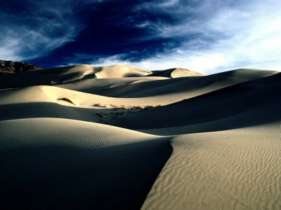 Desierto | Resurgir de las arenas
