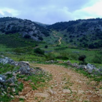 Bonne route