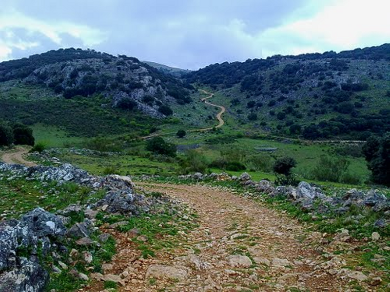 Camino pedregoso