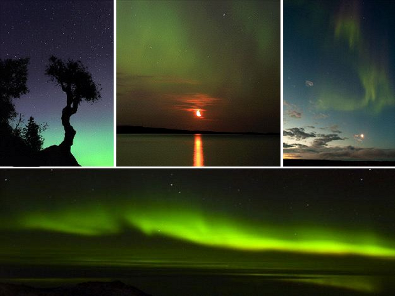 Auroras