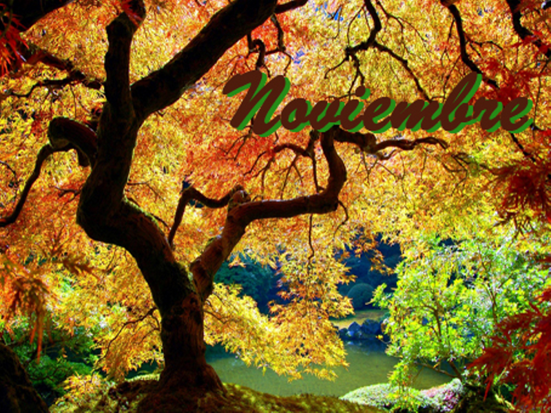 Noviembre
