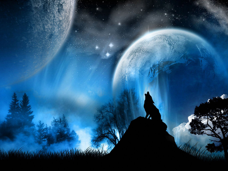 Lobo, de noche te encuentro aullando versos lejanos