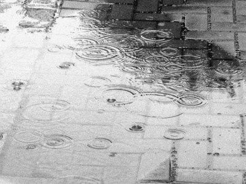 Tarde de lluvia